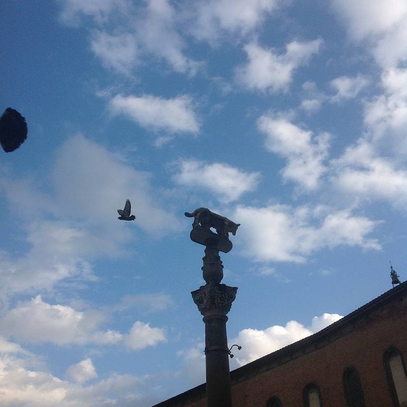 Piazza_del_Duomo